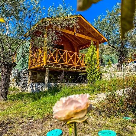 Hotel Kazdaglari Saglikli Yasam Koeyue Edremit  Exterior foto
